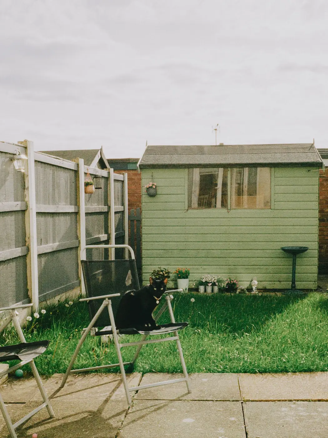A tidy British back garden with a shed